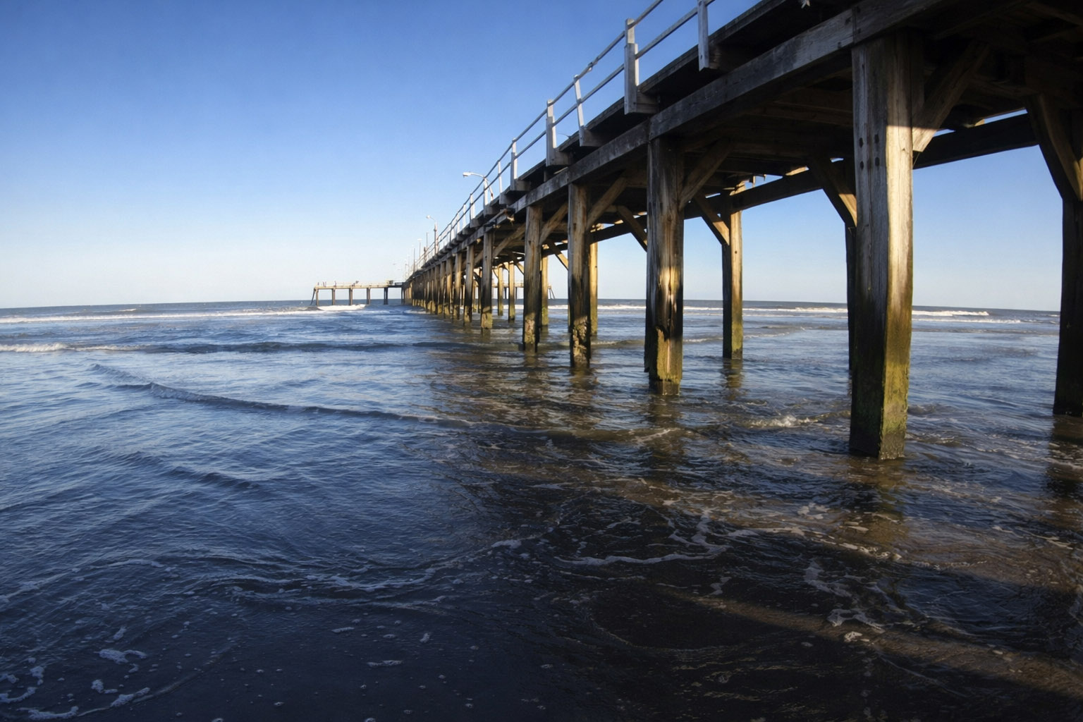 Muelle cierre preventivo (5)